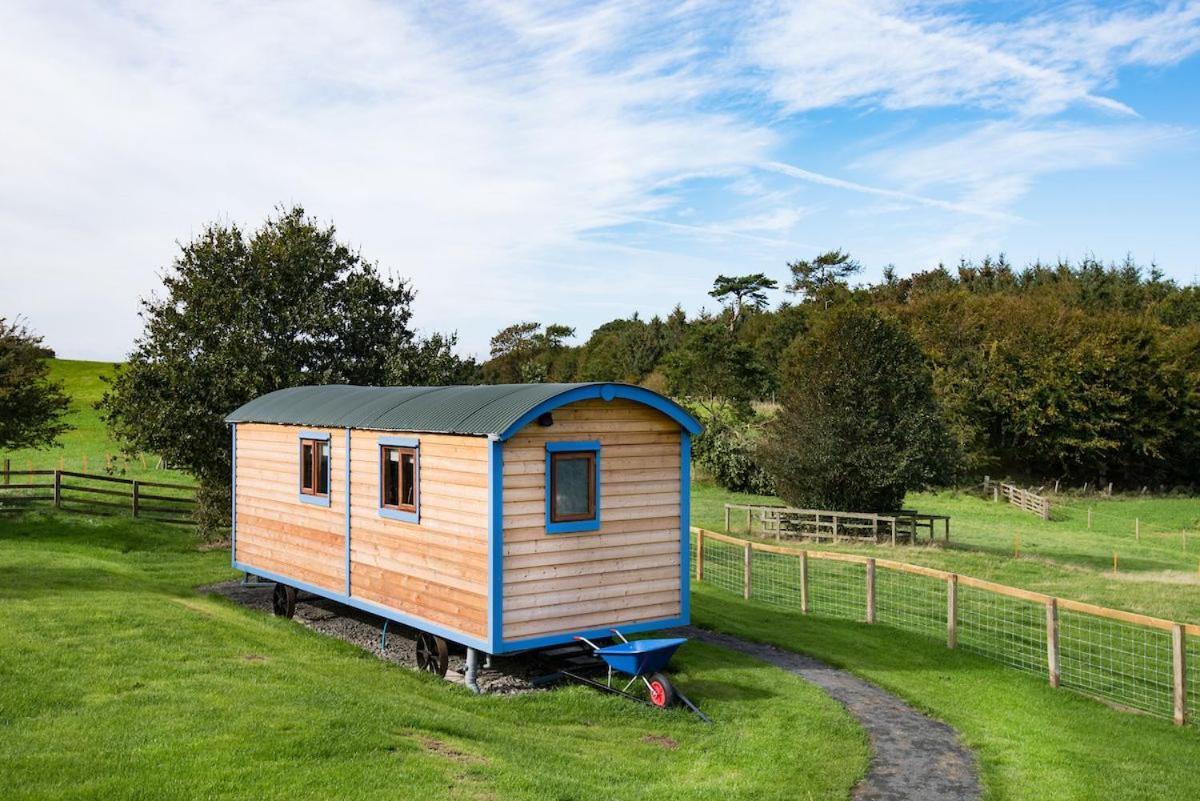 Cow Parsley Shepherd'S Hut Berwick Upon Tweed Exterior foto